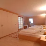 Hostel Feri